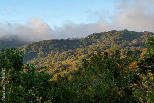 Bosque nuboso Monteverde, Costa Rica