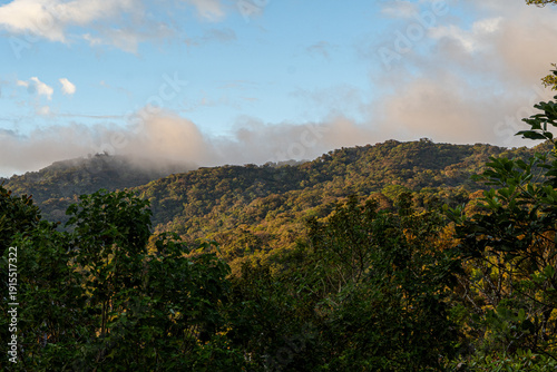 Bosque nuboso Monteverde, Costa Rica