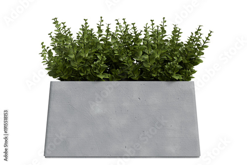Foto rectangular grey concrete-textured planter brimming with a dense, lively arrange