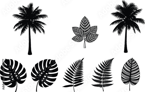 Tropical palm trees and exotic leaves silhouette set isolated on white background, botanical jungle vector illustration collection design