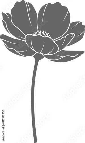 described features a grey flower with a long stem, showcasing several distinct elements