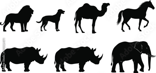Set of black animal silhouettes including lion, dog, camel, horse, rhinos and elephant isolated on white background for wildlife graphic design (22 words)