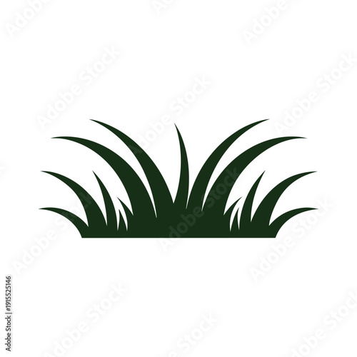 A detailed illustration of a grassy field with tall, pointed blades of grass. Vector