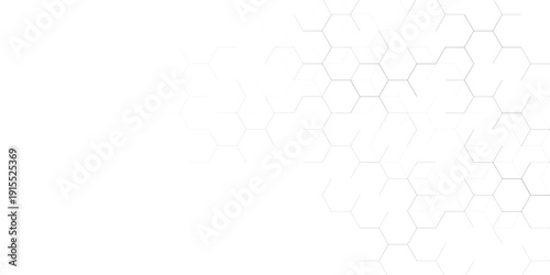 Abstract white and light grey hexagon pattern background. Clean geometric honeycomb structure vector illustration with copy space