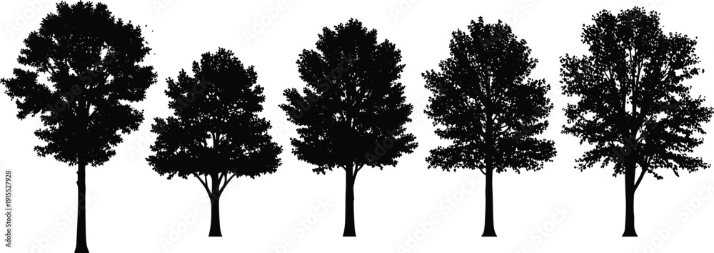 Fototapeta premium Set of black tree silhouettes including various species and shapes for landscape design nature environmental projects and outdoor scenery vector illustrations,