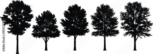 Set of black tree silhouettes including various species and shapes for landscape design nature environmental projects and outdoor scenery vector illustrations,