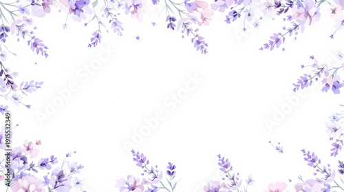 lavender flowers background