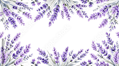 lavender flowers background