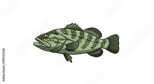Detailed Illustration of Largemouth Bass Fish.
