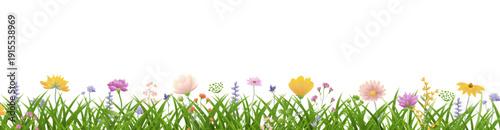 Flowers Border And Grass Isolated White Poster