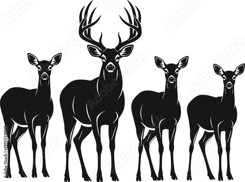Vector collection of large mammal silhouettes including American buffalo bison buck deer with antlers and a galloping wild horse animal,