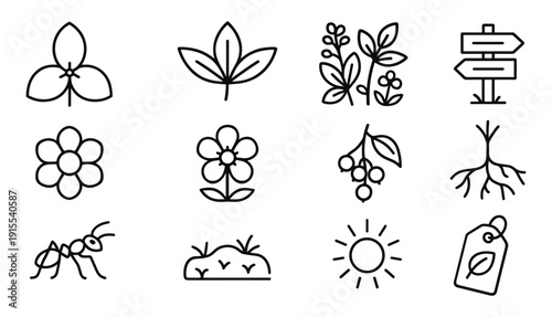 Simple botanical and nature icons set in minimalist black linear style