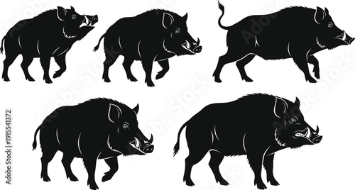 Wild Boar Silhouette Collection Featuring Feral Pig and Swine Poses for Hunting Sports Wildlife Nature Forest Animal Vector Illustration Set
