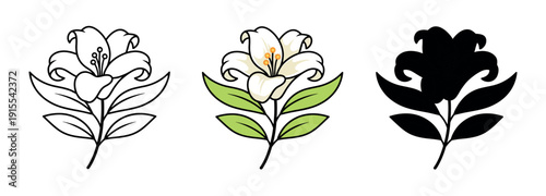 Single white lily flower on a green stem with leaves, provided in outline, flat color, and black silhouette styles.
