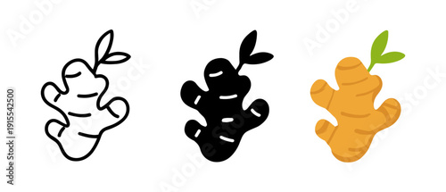 Ginger root icons: outline, solid, and colorful designs for creative use