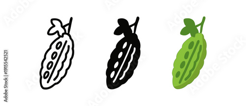 Bitter melon icons: linear, silhouette, and colored styles