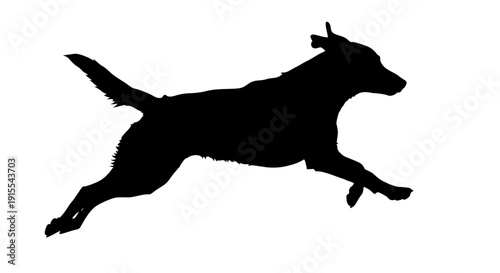 Silhouette of a dog running with its tongue out.