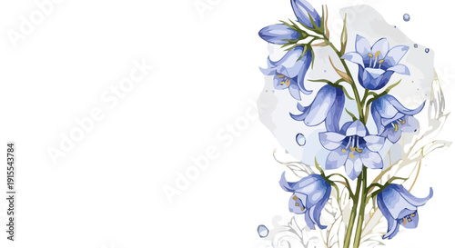 Watercolor illustration of bluebell flowers in bloom, depicted in a delicate, artistic style with soft petals and stems