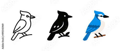 Evolution of blue jay design: outline, silhouette, and full color versions