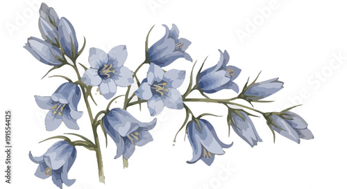 A cluster of blue bellflowers in full bloom, depicted in a delicate SVG illustration, showcasing intricate floral details.