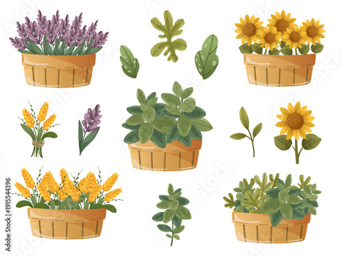 Harvest and farm market clipart set with vegetables, jam, juice and scales