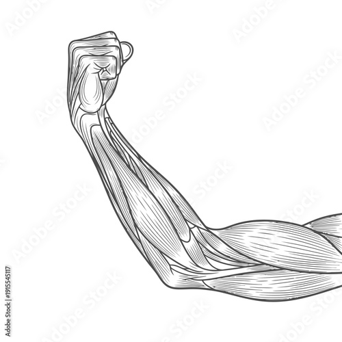 vector illustration of a woman