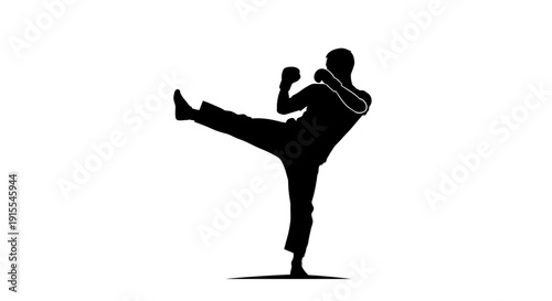 Silhouette of a martial artist performing a dynamic kick.
