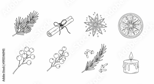 A collection of nine different floral and plant illustrations in black and white Vector