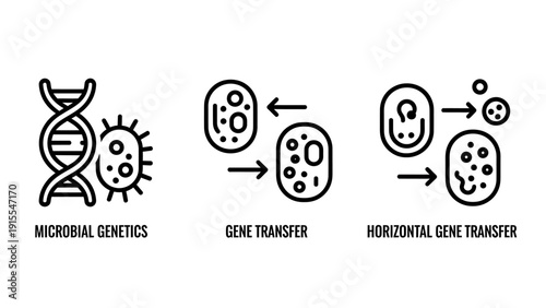 Science Icon Set Illustrating Microbial Genetics and Gene Transfer Processes Featuring DNA Strands, Bacterial Plasmids, and Biological Diagrams