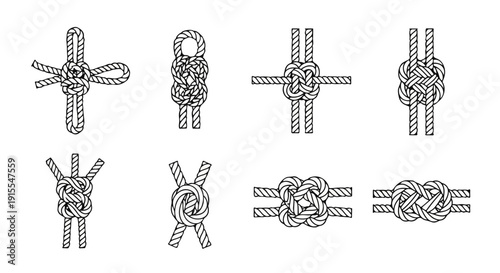 A collection of various types of knots and their intricate designs Vector