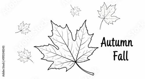 Illustration of autumn leaves falling, symbolizing the change of seasons to fall. Vector
