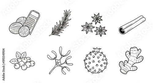 A collection of various types of mushrooms and fungi illustrations Vector