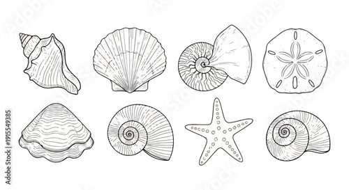 Diverse collection of intricate fossilized shells and marine life artwork Vector
