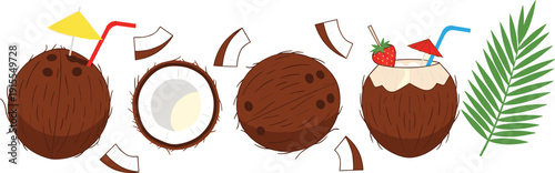 Coconut fruit illustration set vector with whole half and drink isolated on white background