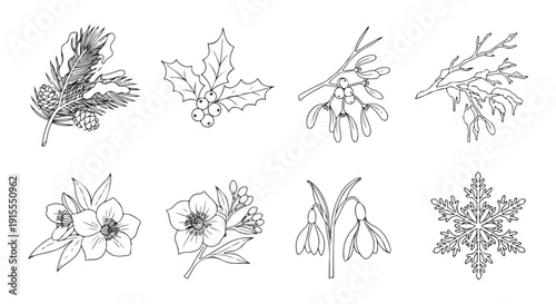 A diverse collection of intricate botanical sketches showcasing various plant species Vector