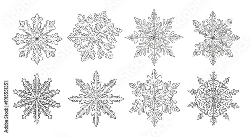 Intricate snowflake designs showcasing the unique beauty of winter's frozen artistry Vector