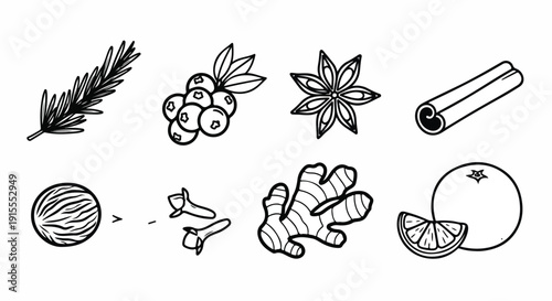 Illustrations of various spices and herbs commonly used in cooking and baking Vector