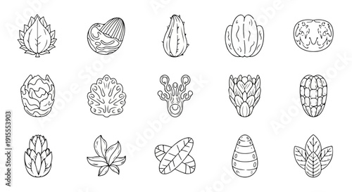A diverse collection of intricate and detailed illustrations of various seeds and plants Vector