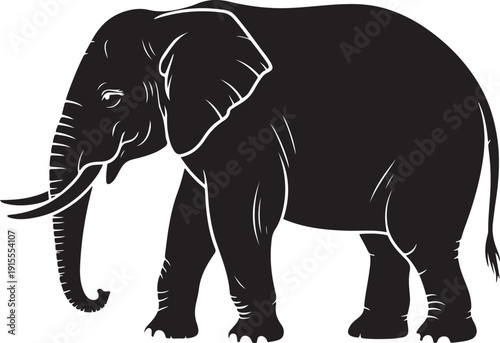 Large african elephant walking silhouette with tusks and detailed outlines