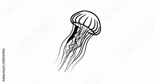 Bold black outline of a jellyfish with flowing tentacles on white