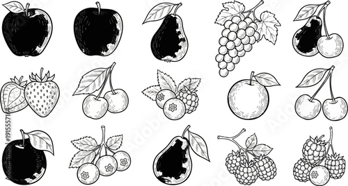 Collection of various fruits, including apples, pears, grapes, strawberries, cherries, blueberries, and raspberries