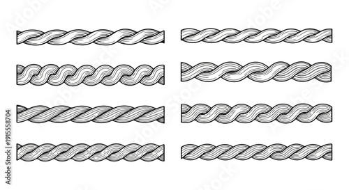 Twelve different types of braided patterns displayed in a single image Vector