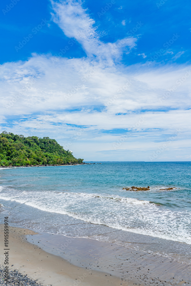 Obraz premium Tropical coastline with lush green forest, rocky shore, and gentle ocean waves under a bright blue sky in Indonesia.