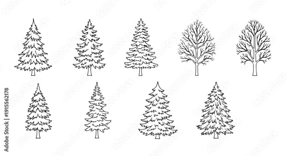 Obraz premium A collection of ten different types of trees drawn in black and white Vector
