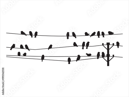 Bird silhouettes sitting on power lines, Sparrow and bullfinch birds flock on power wires Silhouette Vector Illustration Isolated on White Background
