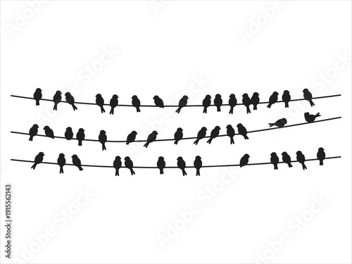 Bird silhouettes sitting on power lines, Sparrow and bullfinch birds flock on power wires Silhouette Vector Illustration Isolated on White Background