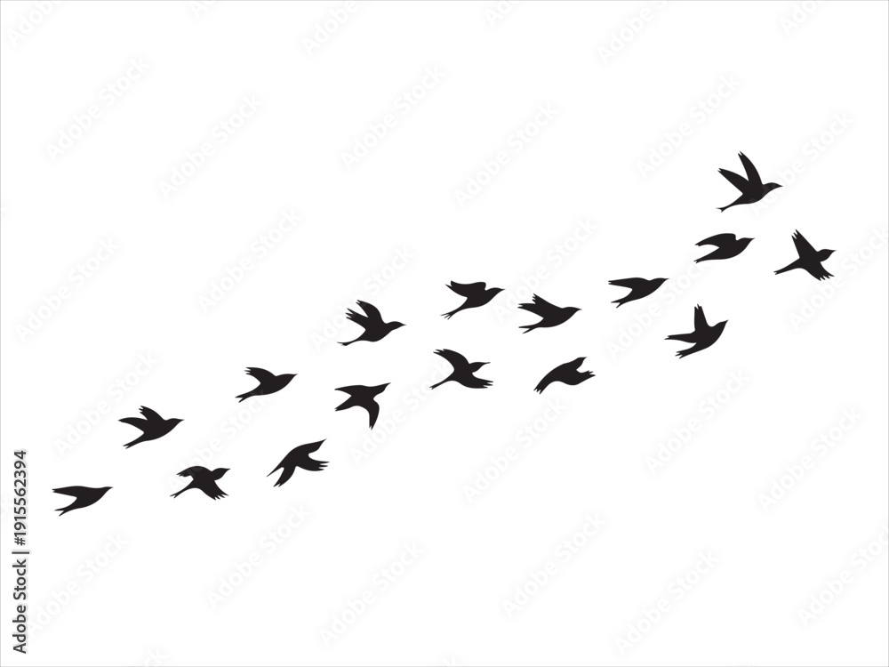 Obraz premium Flock of flying birds silhouette flat vector, Group of flying birds silhouette vector illustration