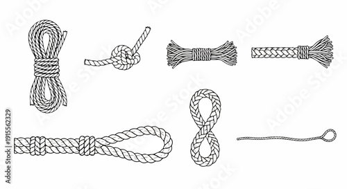 A variety of intricate knots and their unique structures and formations Vector