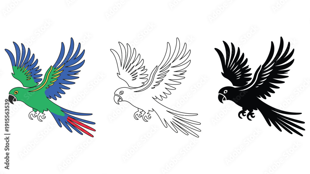 Obraz premium Parrot vector illustration with colorful, silhouette, and line art styles flying