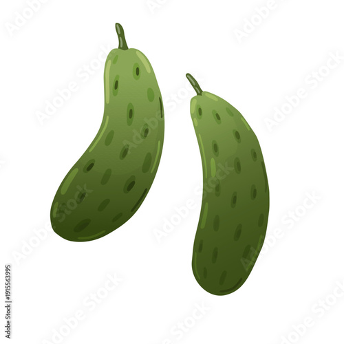 A fresh summer vegetables two green cucumber . Perfect for salad recipes, organic food branding, and market signs.